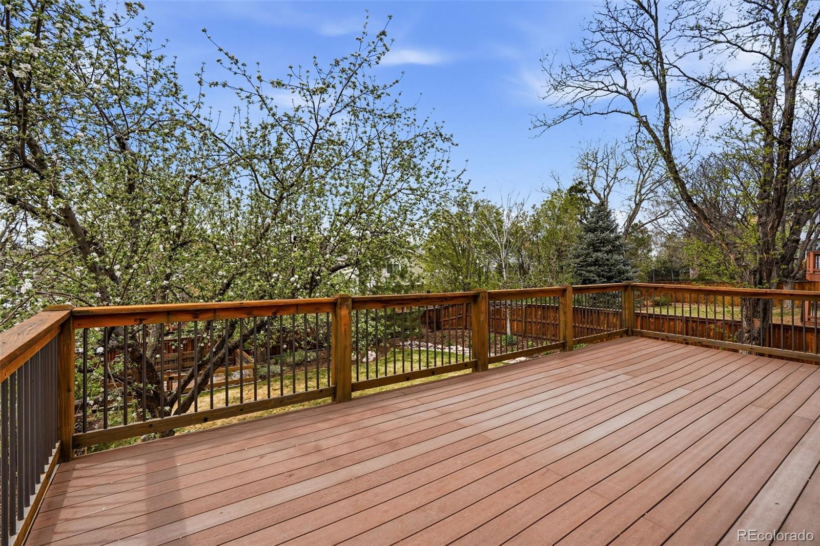 MLS Image #20 for 142  plum creek place,highlands ranch, Colorado