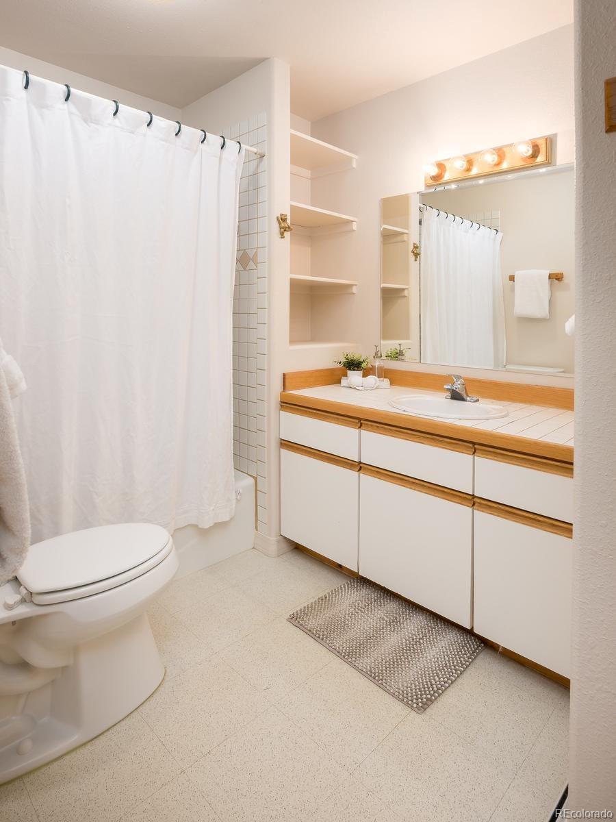 MLS Image #19 for 303  willow lake court,silverthorne, Colorado