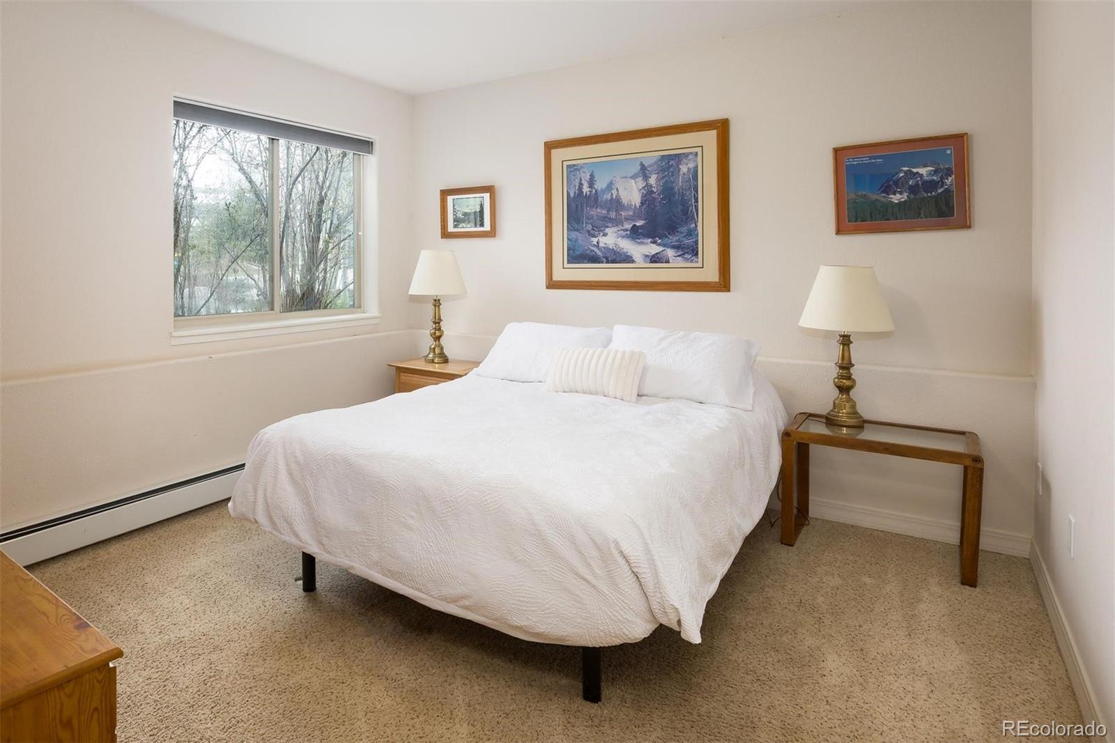 MLS Image #20 for 303  willow lake court,silverthorne, Colorado