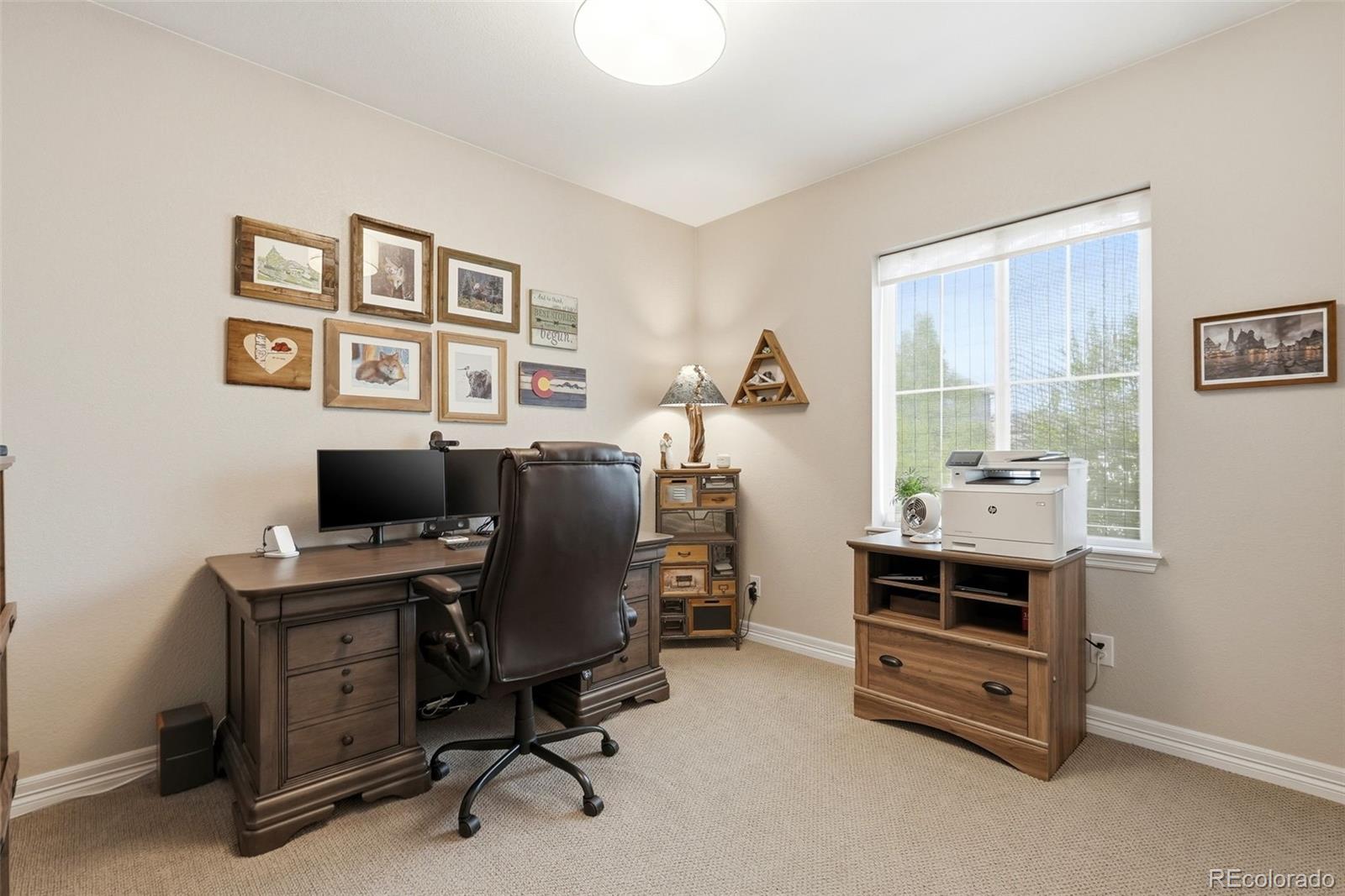 MLS Image #13 for 11554  owensboro street,parker, Colorado