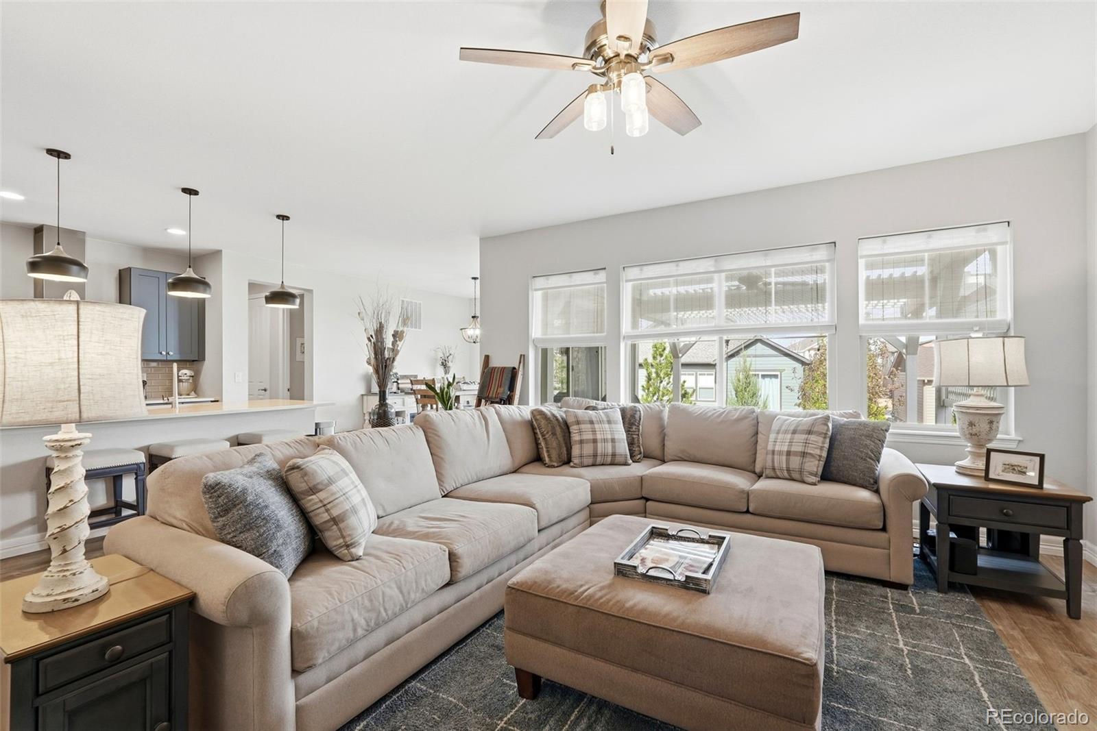 MLS Image #3 for 11554  owensboro street,parker, Colorado