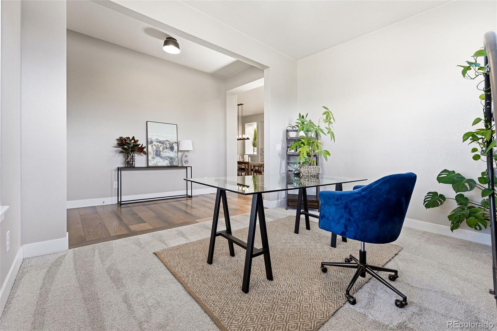 MLS Image #2 for 507  leo drive,erie, Colorado