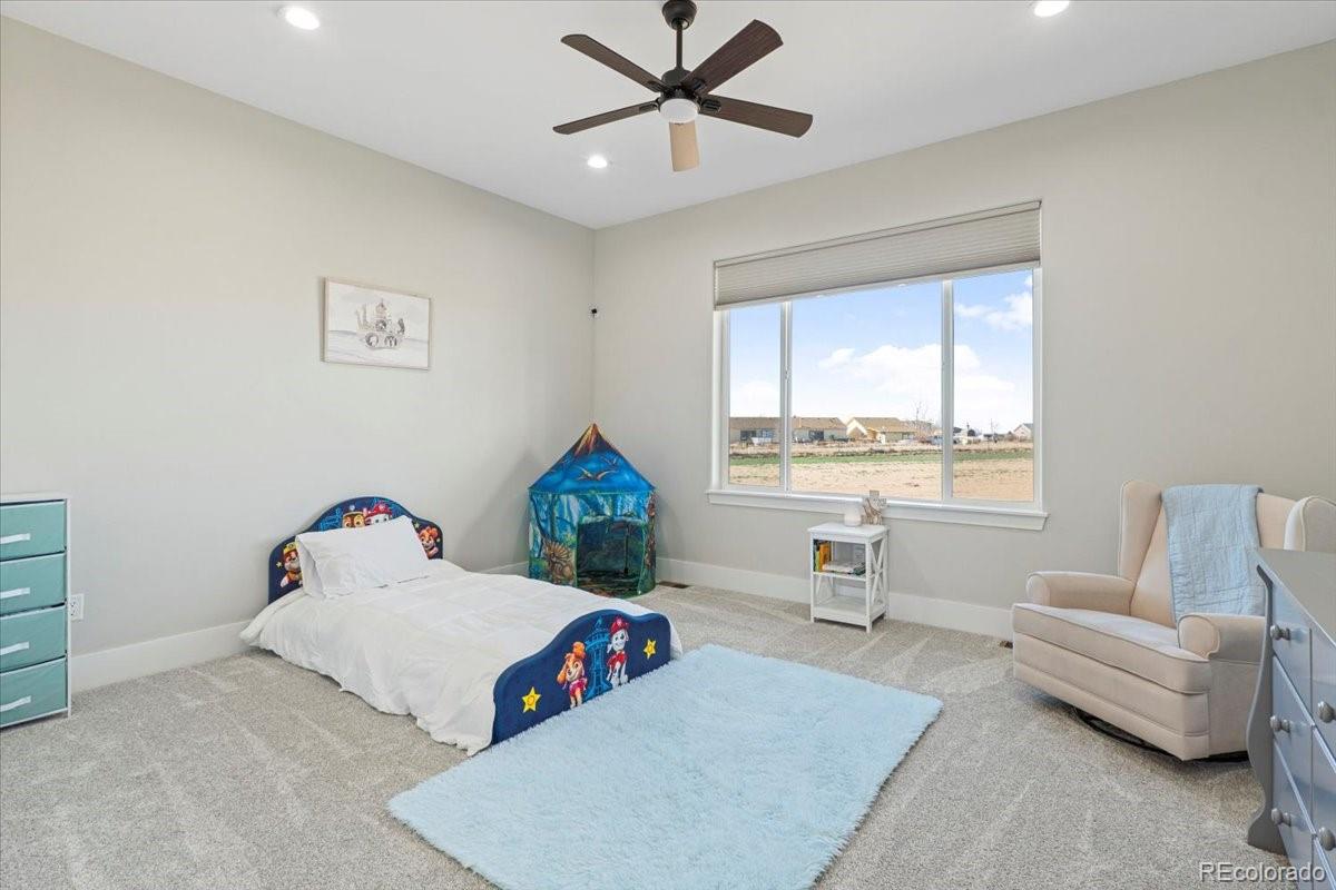 MLS Image #30 for 29151 e 165th avenue,brighton, Colorado