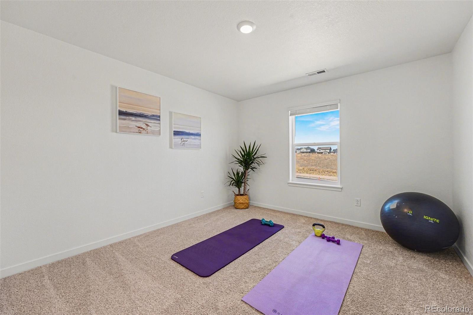 MLS Image #18 for 18185  prince hill circle,parker, Colorado