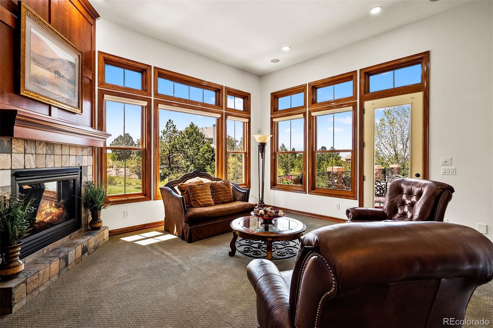 MLS Image #16 for 6198  massive peak circle,castle rock, Colorado