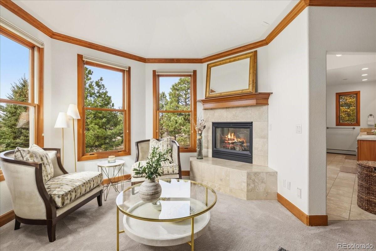 MLS Image #27 for 4637  palmer ridge drive,parker, Colorado