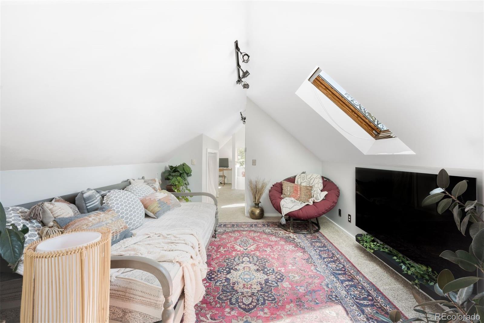 MLS Image #23 for 2436 n humboldt street,denver, Colorado