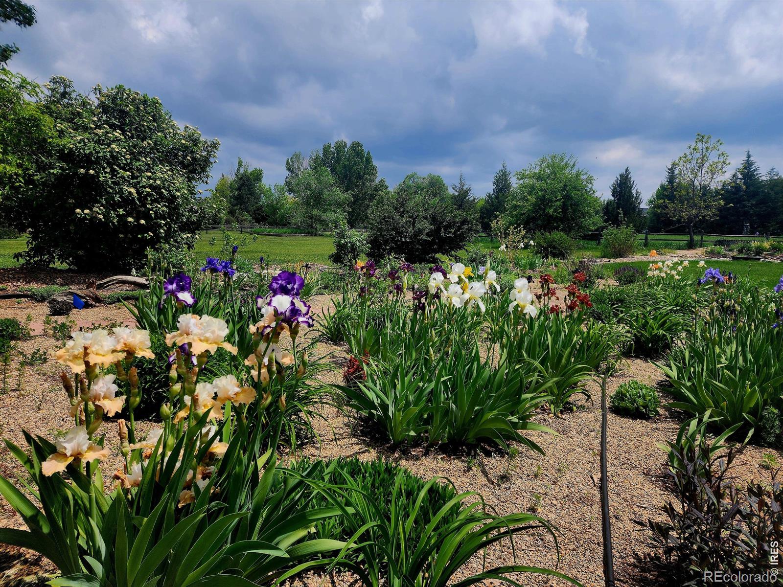 MLS Image #29 for 7598  estate circle,niwot, Colorado