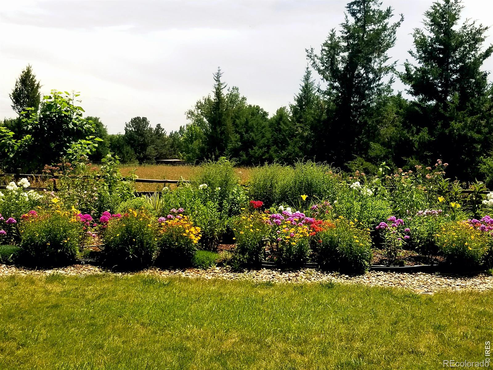 MLS Image #3 for 7598  estate circle,niwot, Colorado