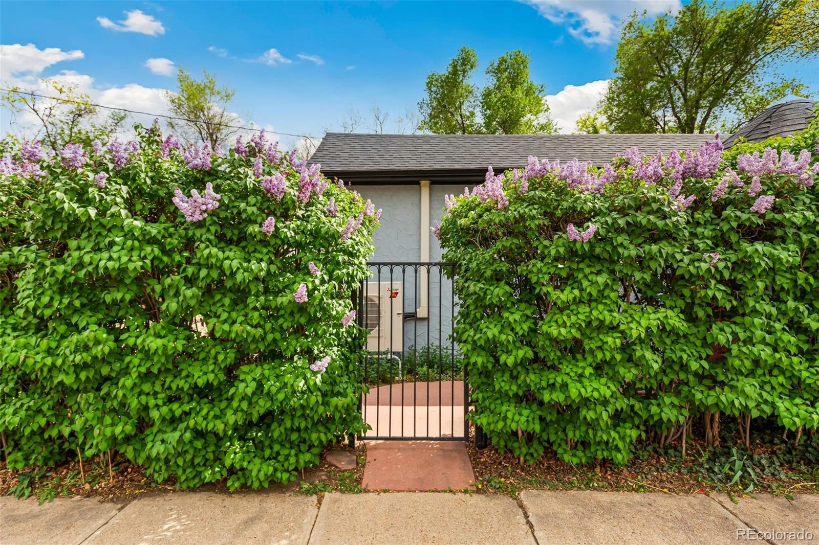 MLS Image #39 for 2492  lamar street,edgewater, Colorado