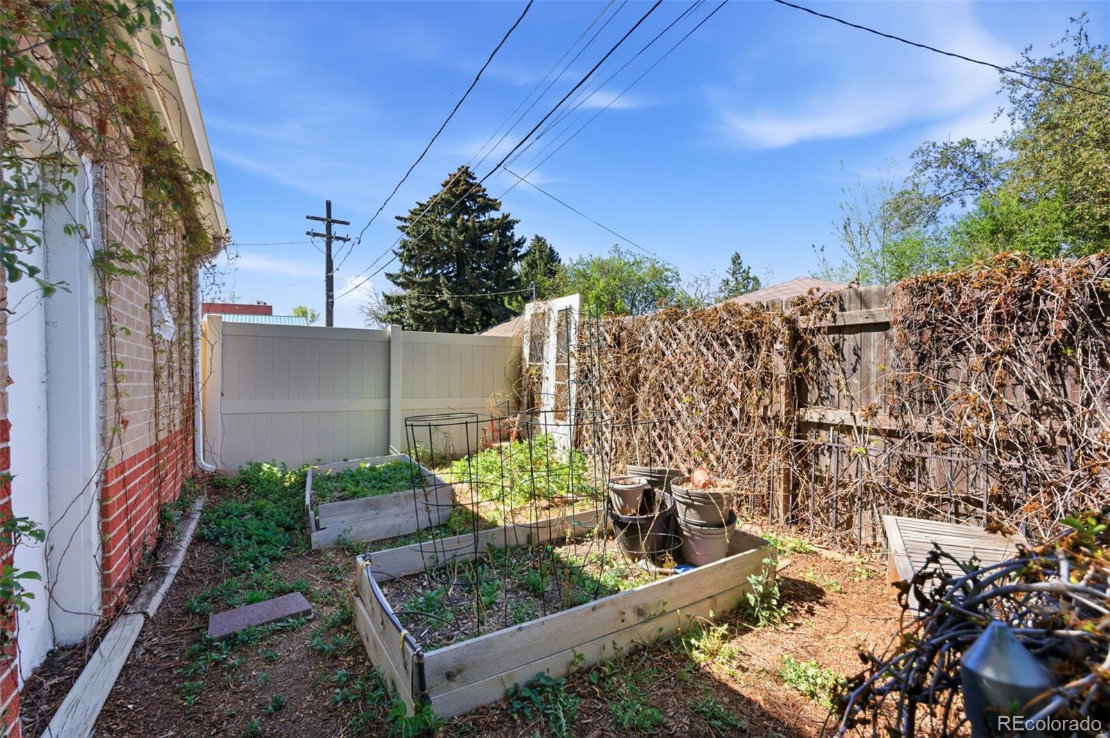 MLS Image #43 for 1365  oneida street,denver, Colorado