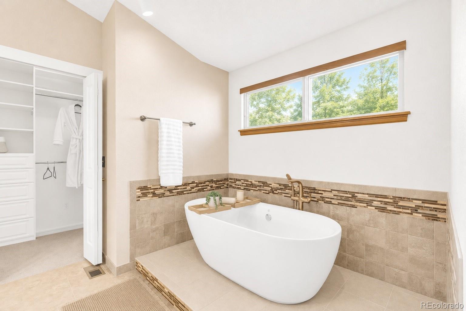 MLS Image #10 for 9246  madras court,highlands ranch, Colorado