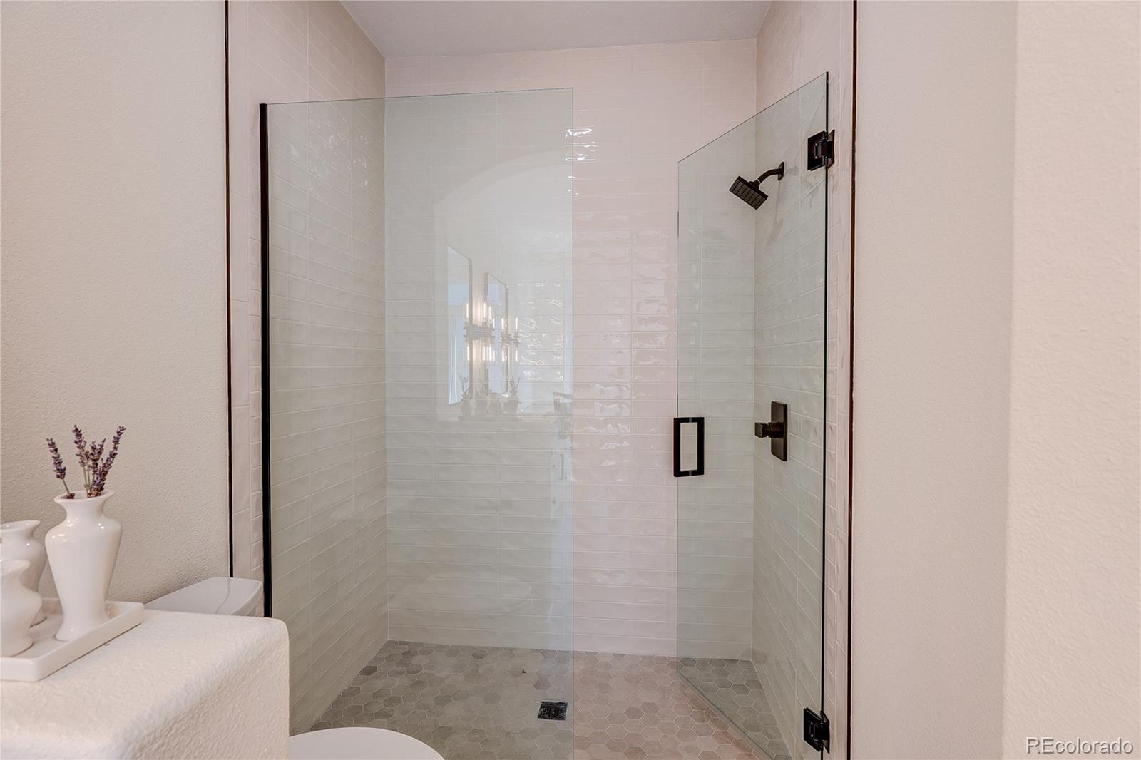 MLS Image #22 for 2137  brierly court,castle rock, Colorado
