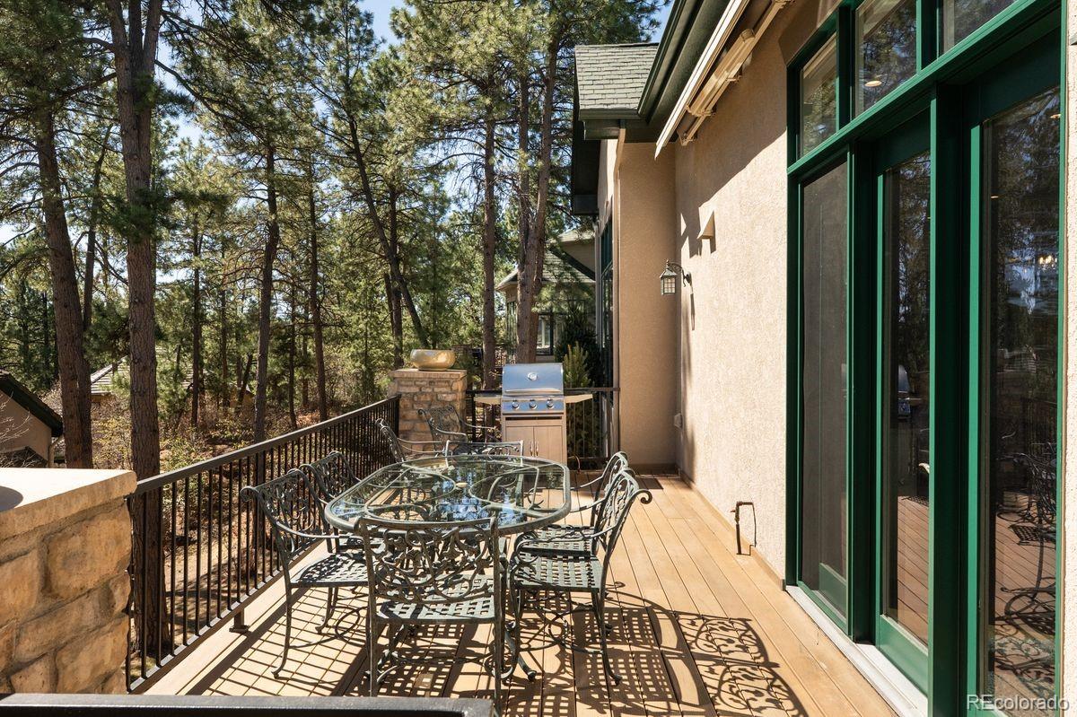 MLS Image #29 for 4525  silver gate drive,castle rock, Colorado