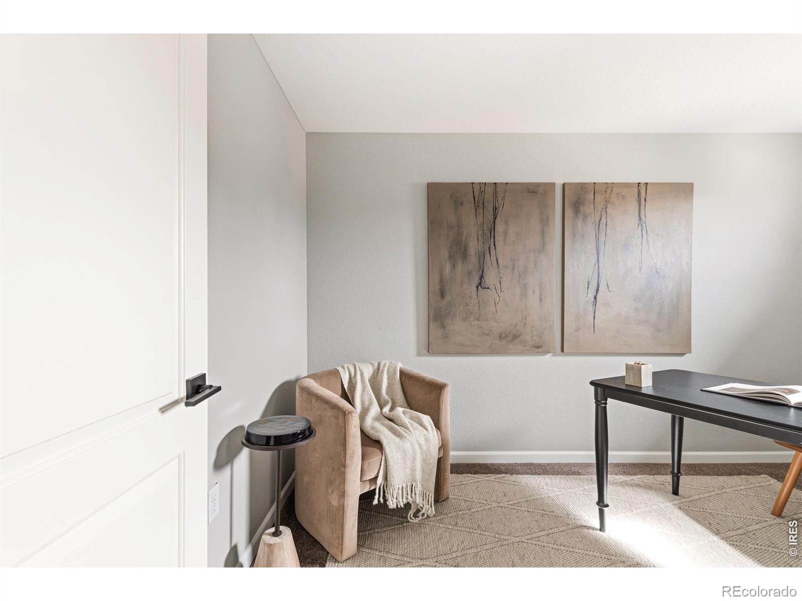 MLS Image #19 for 8595  gold peak drive e,highlands ranch, Colorado