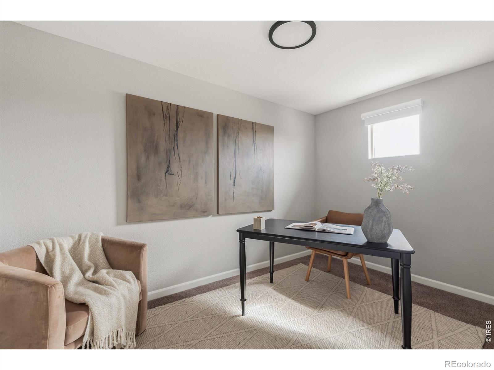 MLS Image #20 for 8595  gold peak drive e,highlands ranch, Colorado