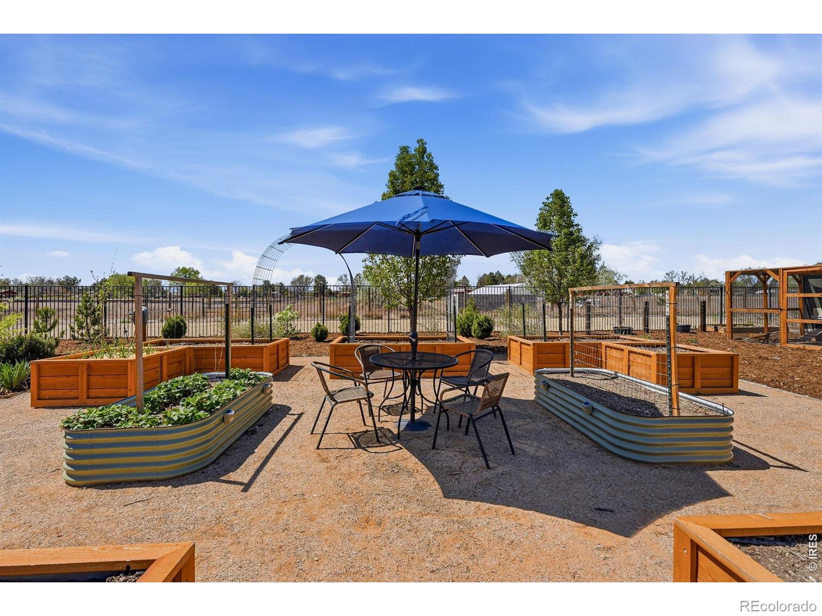 MLS Image #46 for 14695  pecos street,westminster, Colorado