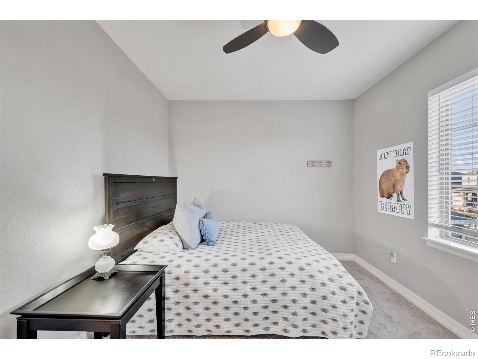 MLS Image #20 for 16554  prospect lane,broomfield, Colorado