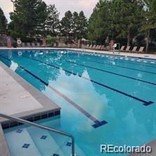 MLS Image #47 for 7123  shoreham drive,castle pines, Colorado