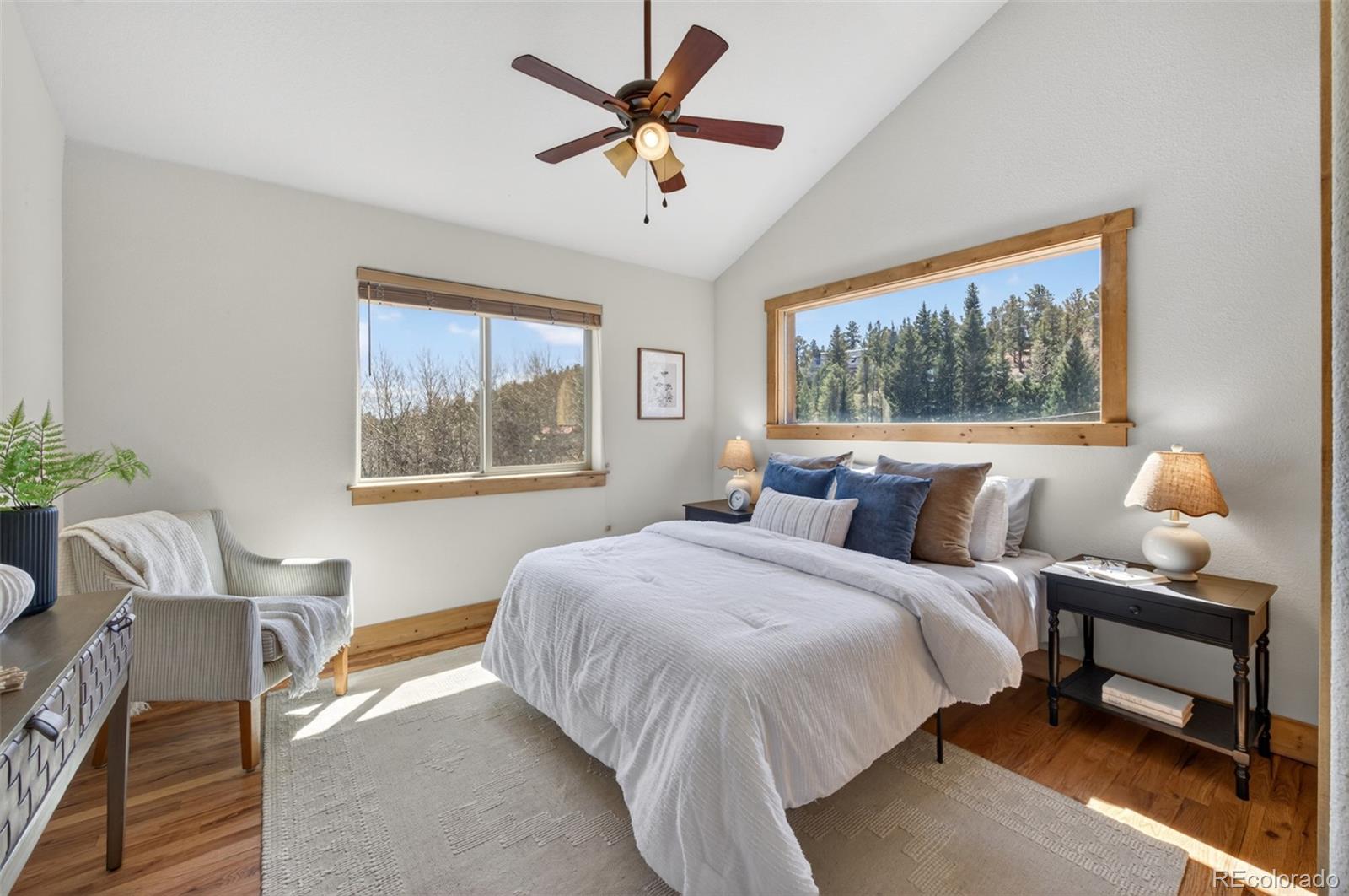 MLS Image #19 for 1328  clark road,bailey, Colorado
