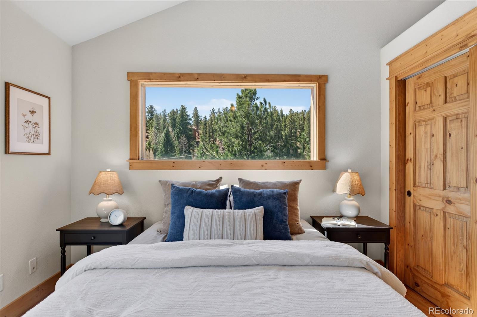 MLS Image #20 for 1328  clark road,bailey, Colorado