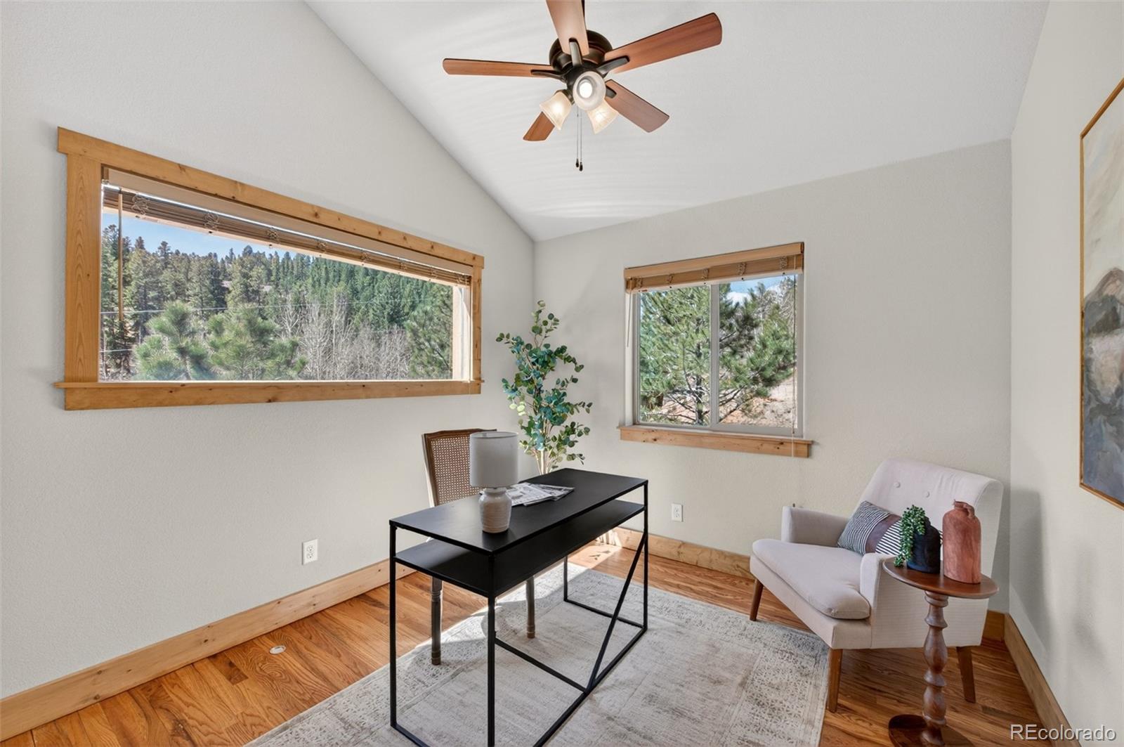 MLS Image #22 for 1328  clark road,bailey, Colorado