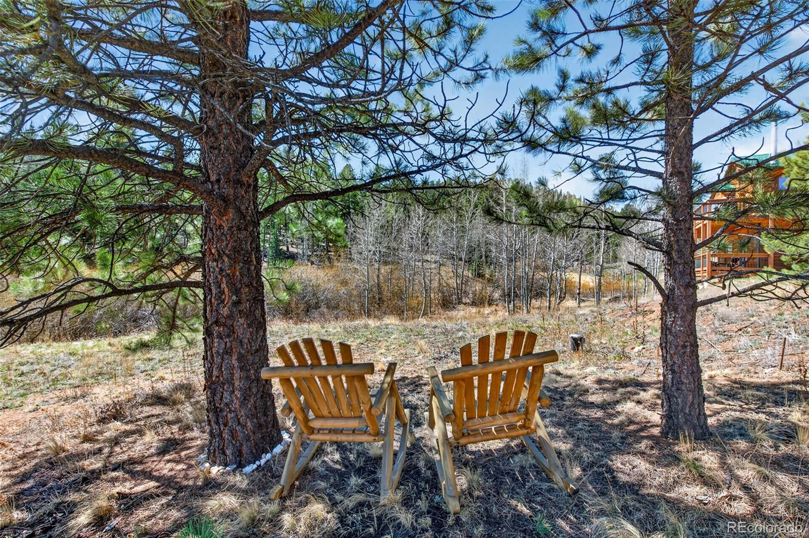 MLS Image #31 for 1328  clark road,bailey, Colorado