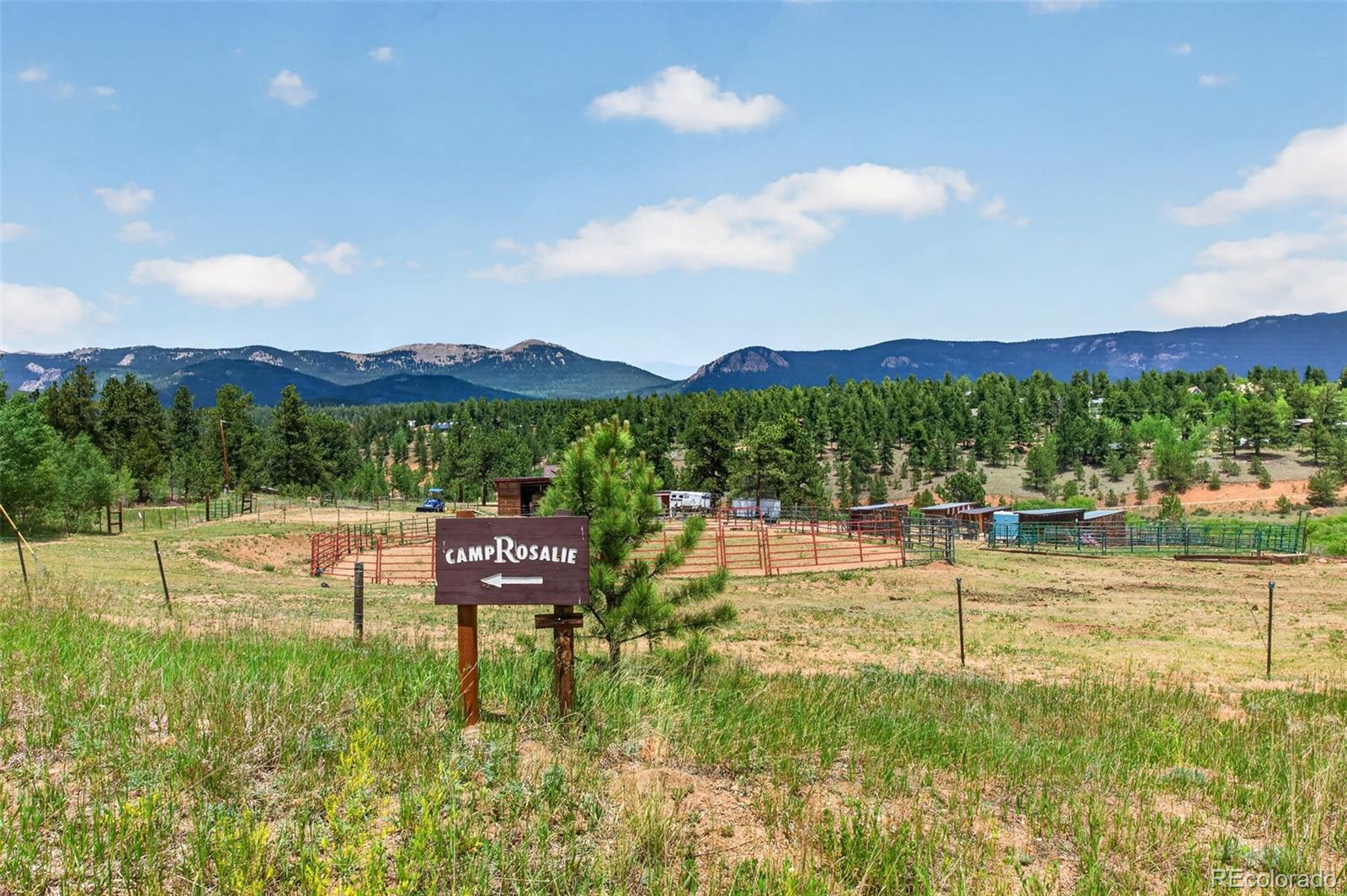 MLS Image #42 for 1328  clark road,bailey, Colorado