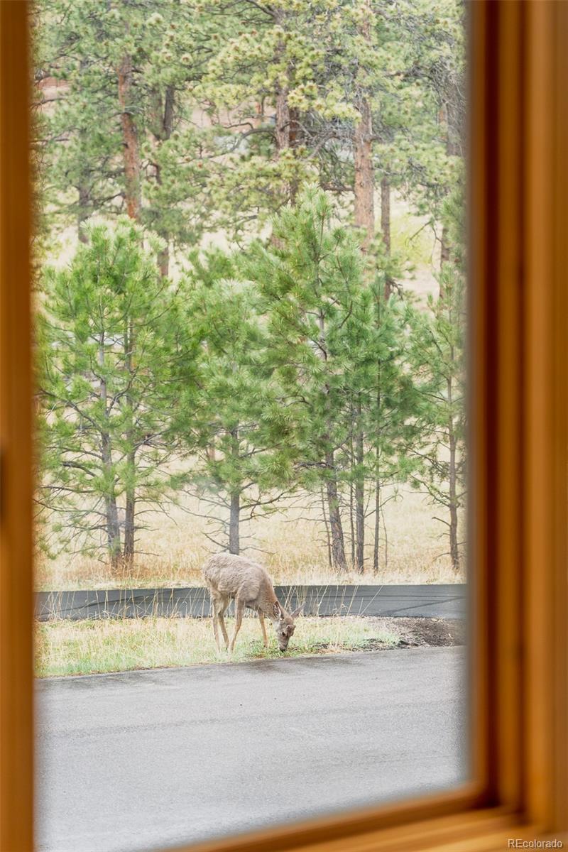 MLS Image #16 for 2290  juniper court,golden, Colorado