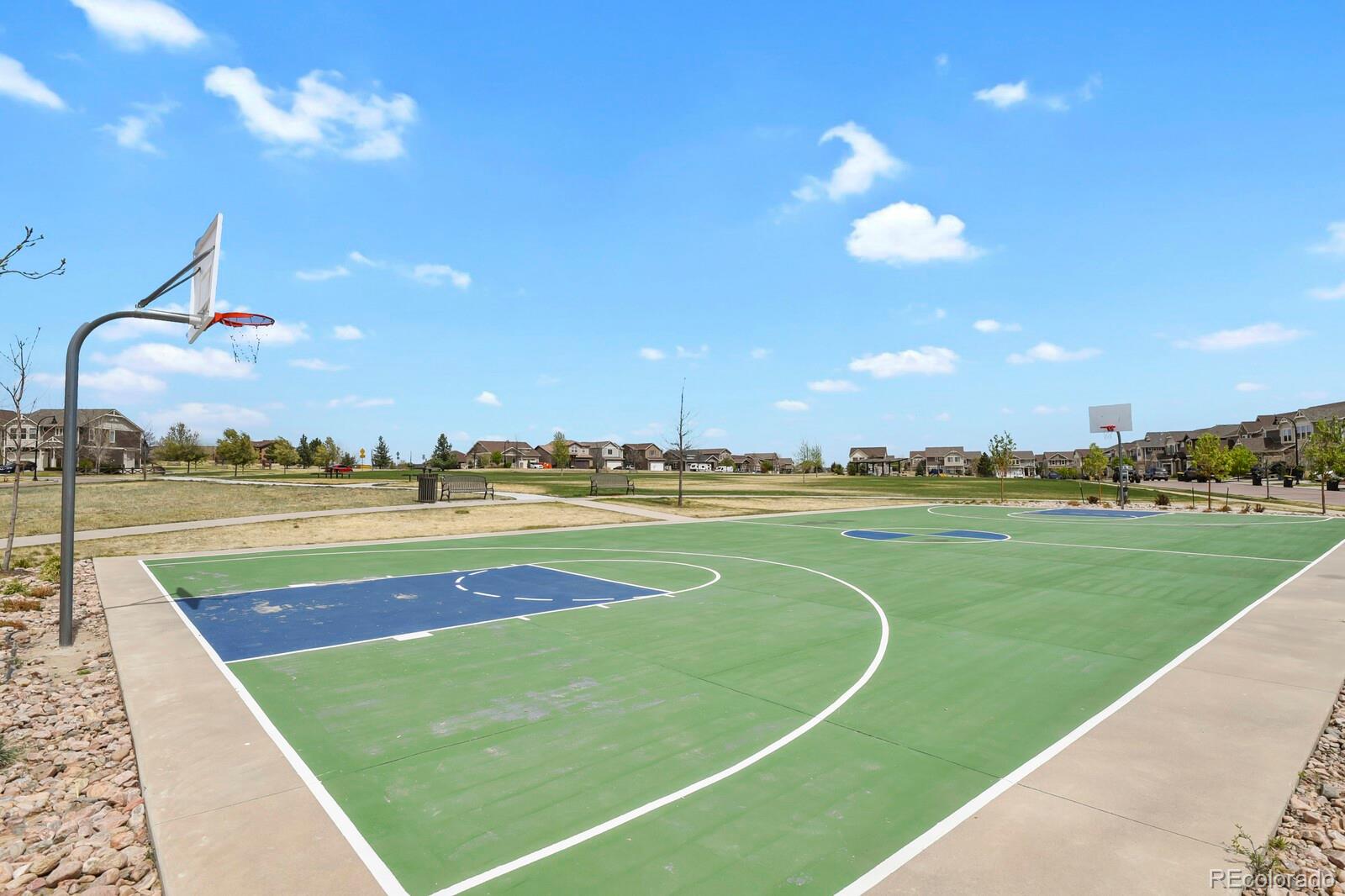 MLS Image #22 for 8367  colorado spruce lane,colorado springs, Colorado