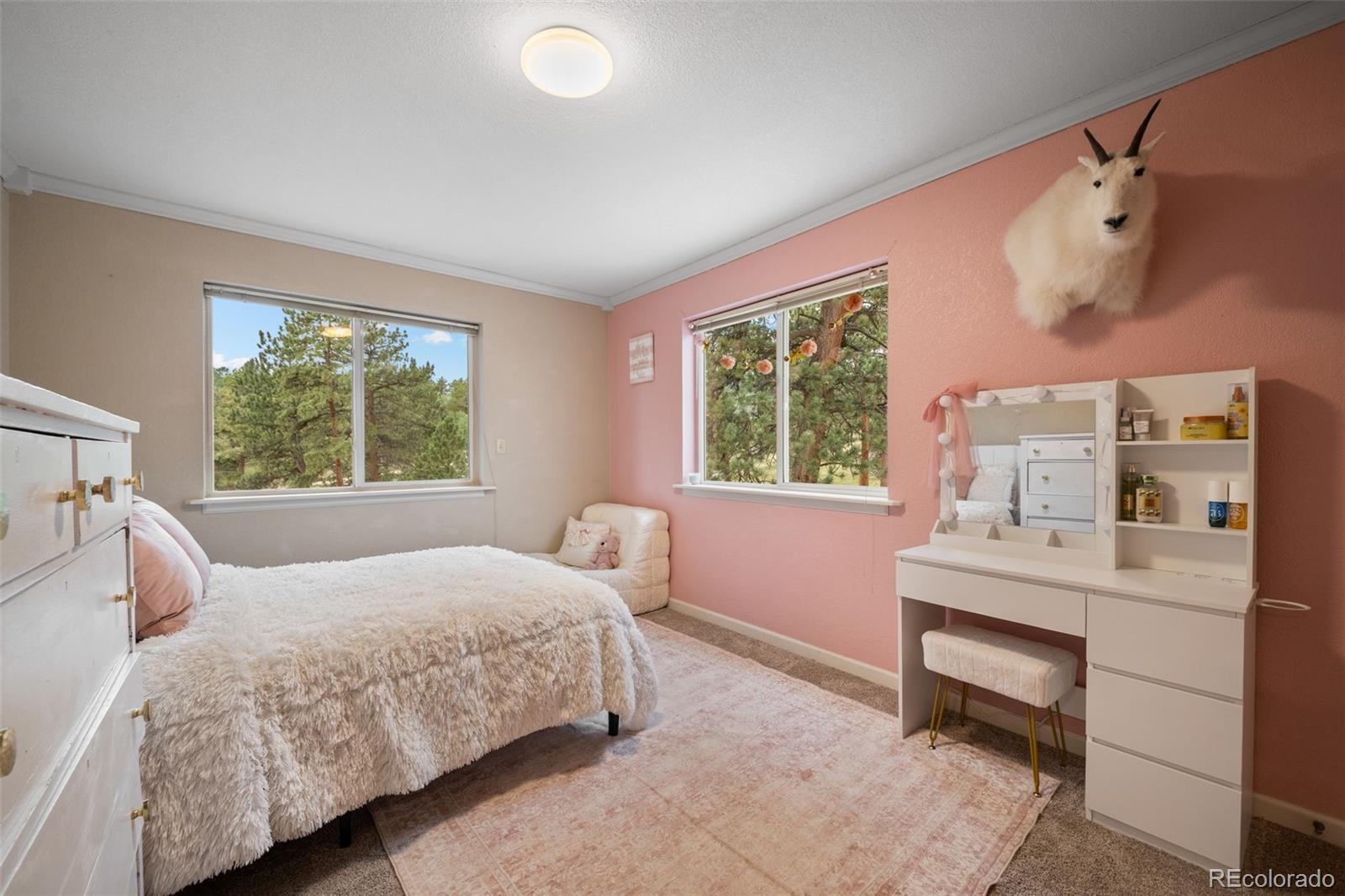 MLS Image #15 for 176  fawn road,bailey, Colorado