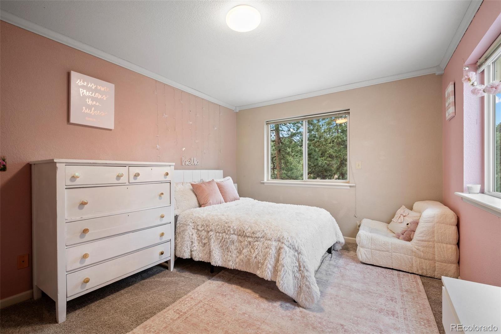 MLS Image #16 for 176  fawn road,bailey, Colorado