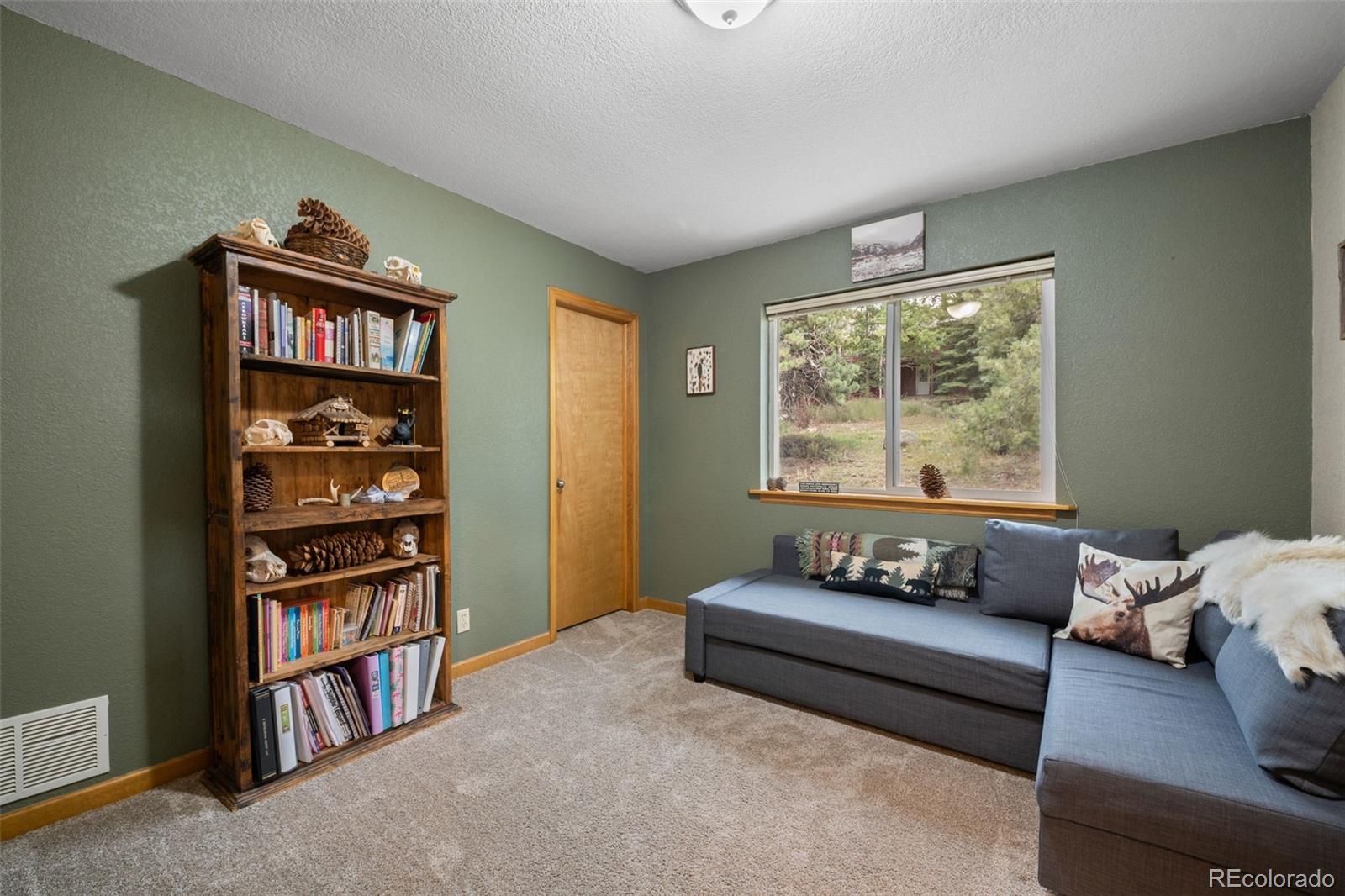 MLS Image #19 for 176  fawn road,bailey, Colorado