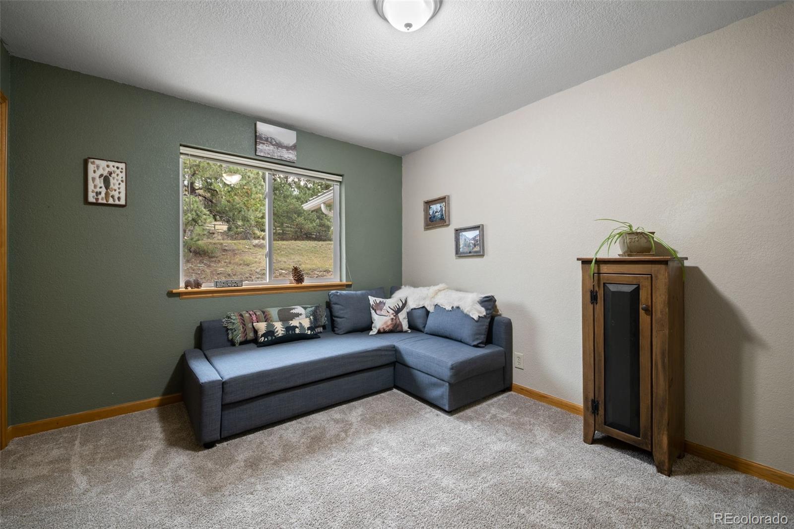 MLS Image #20 for 176  fawn road,bailey, Colorado
