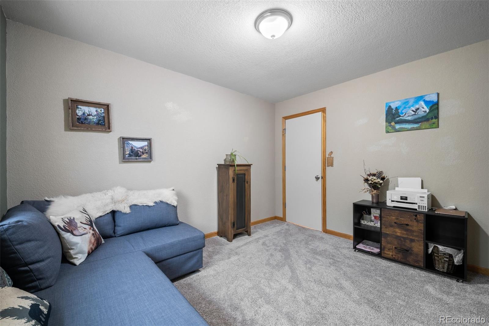 MLS Image #21 for 176  fawn road,bailey, Colorado