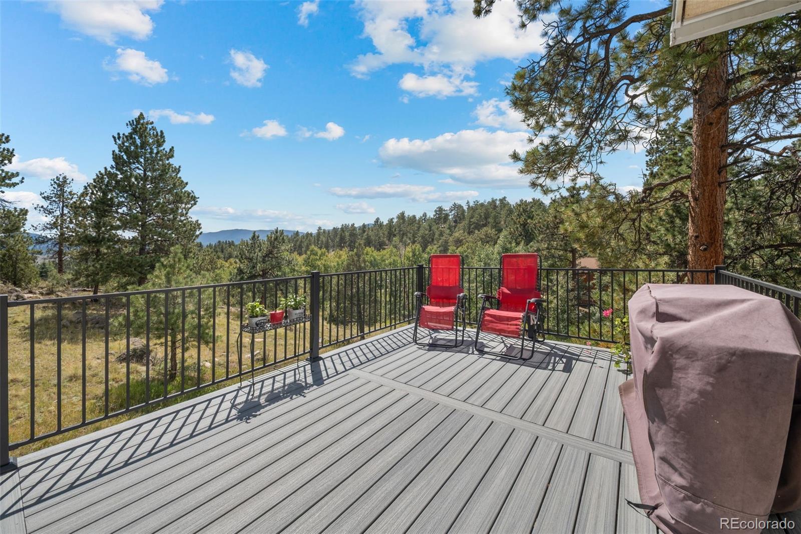 MLS Image #32 for 176  fawn road,bailey, Colorado