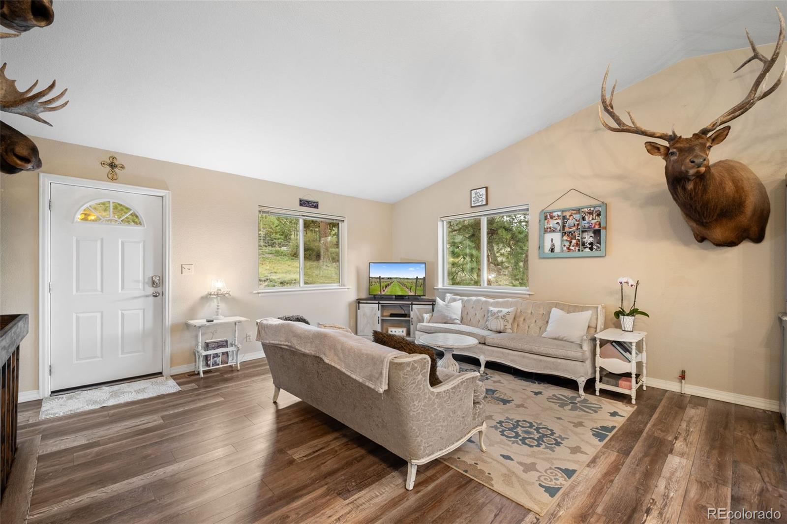 MLS Image #5 for 176  fawn road,bailey, Colorado