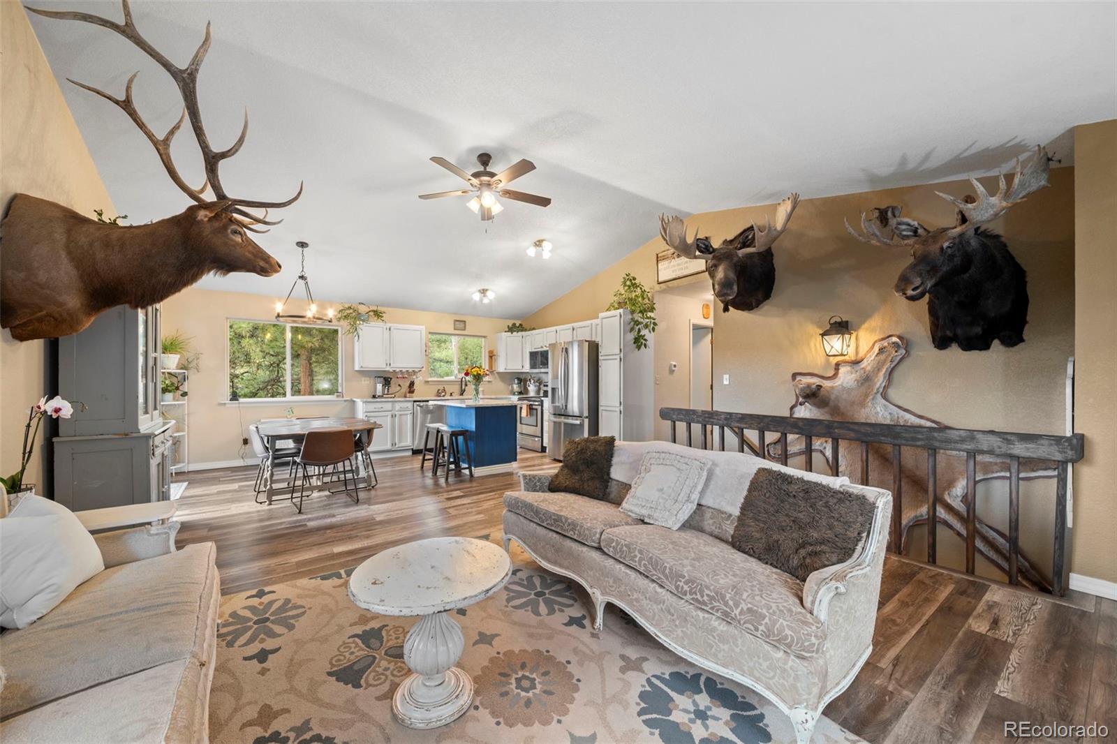 MLS Image #6 for 176  fawn road,bailey, Colorado