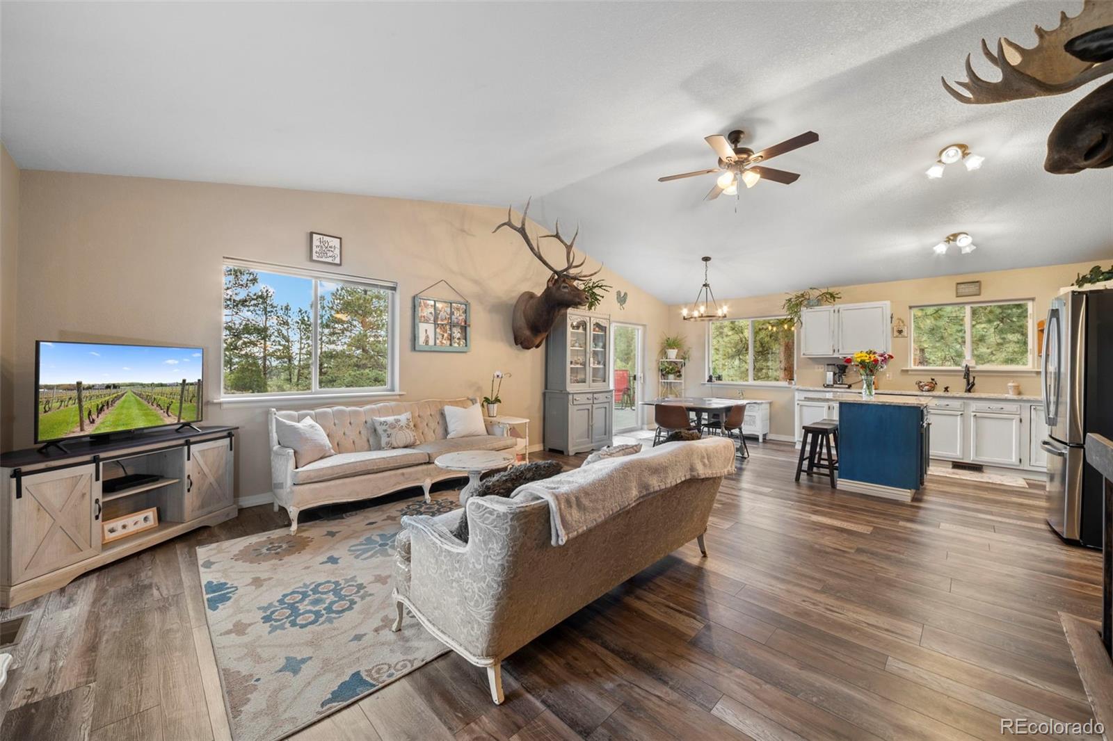 MLS Image #7 for 176  fawn road,bailey, Colorado