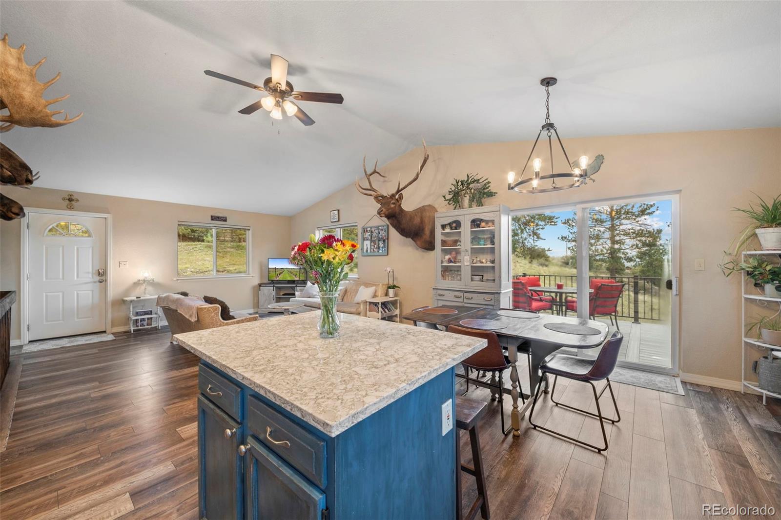 MLS Image #8 for 176  fawn road,bailey, Colorado