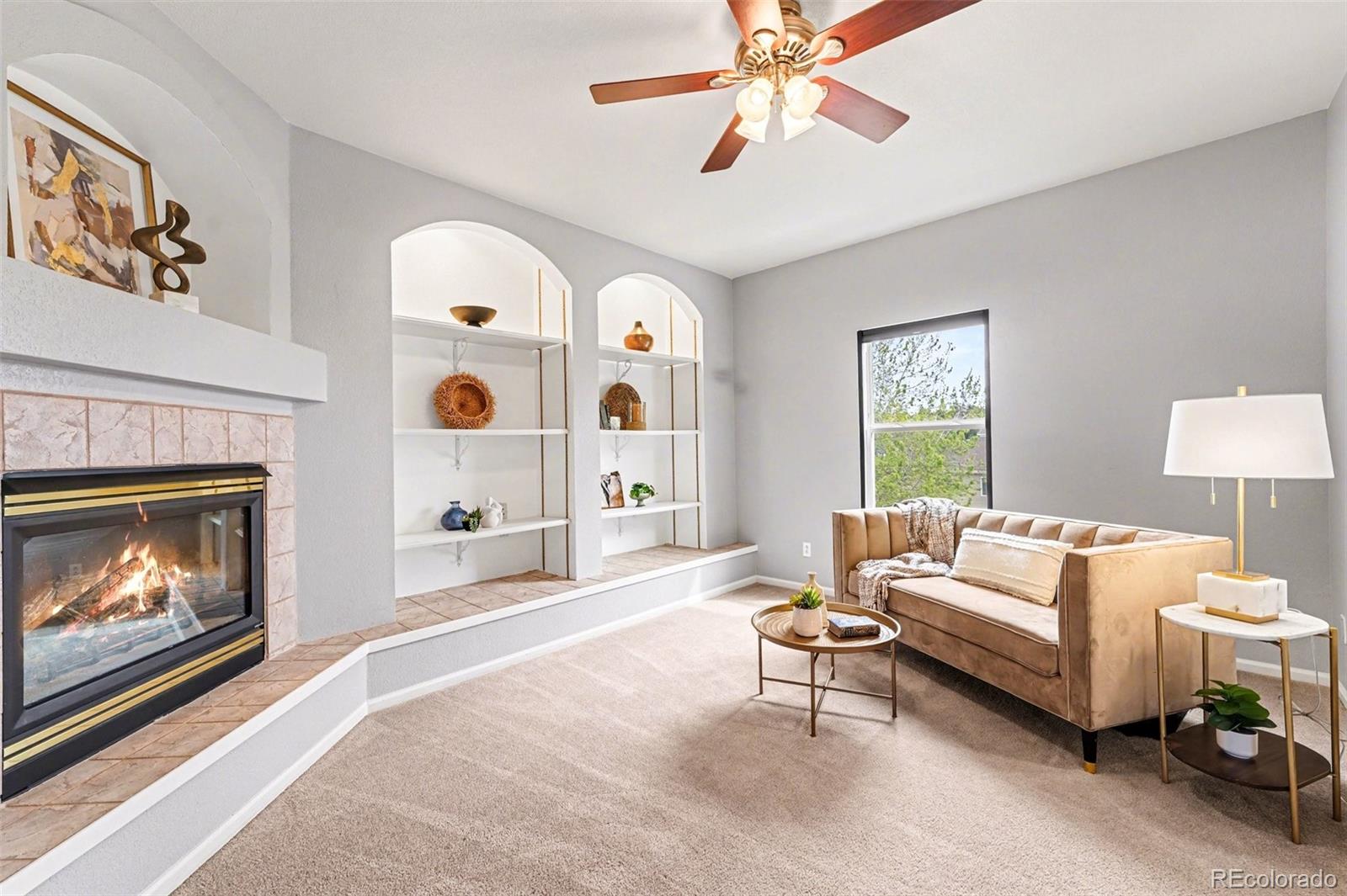 MLS Image #19 for 21805  mount elbert place,parker, Colorado