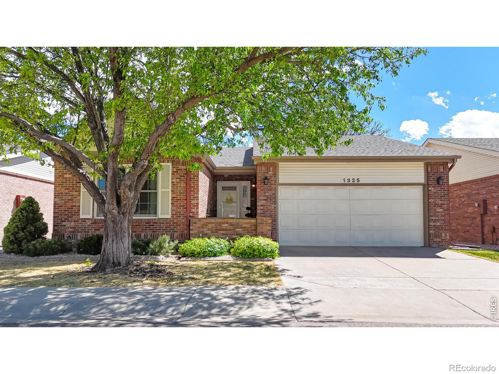 MLS Image #40 for 1325  iva court,fort collins, Colorado