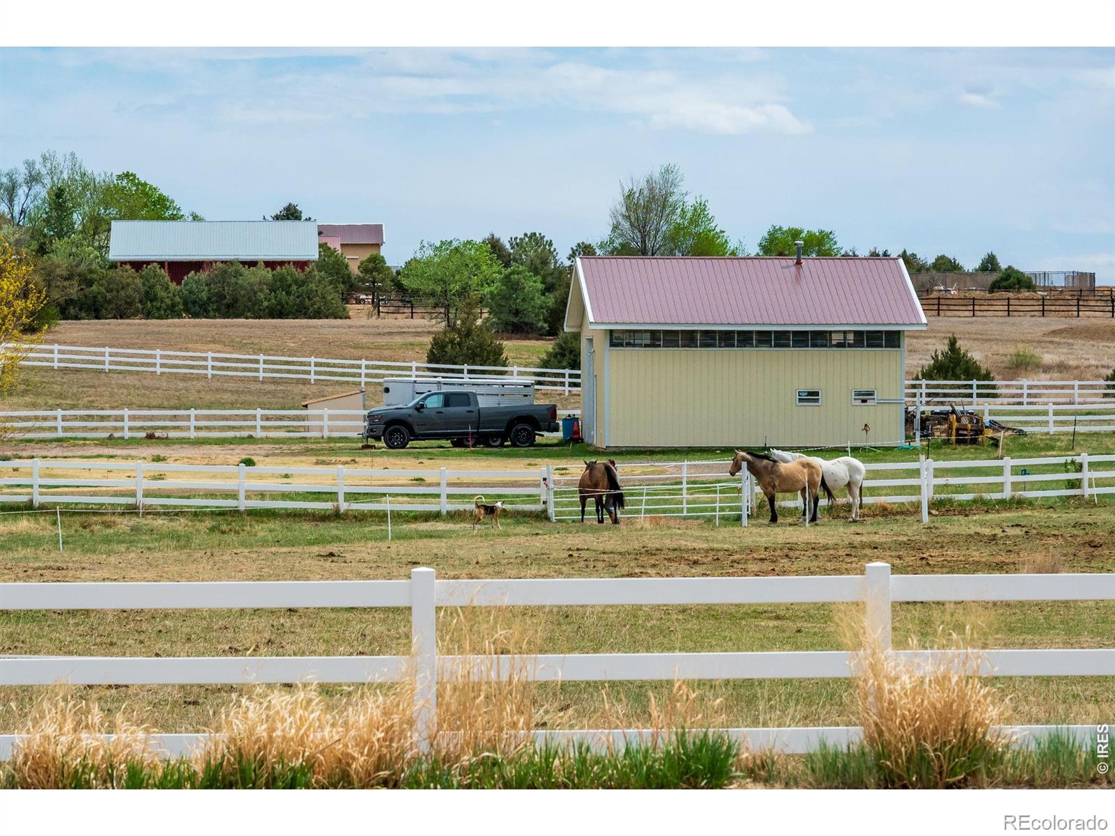 MLS Image #3 for 371  marlowe court,erie, Colorado