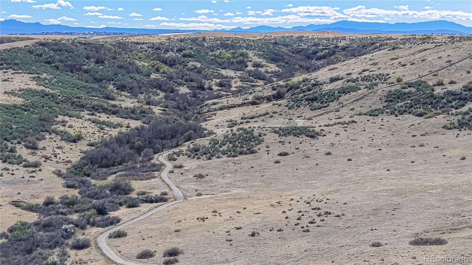 MLS Image #42 for 13950  box turtle loop,parker, Colorado