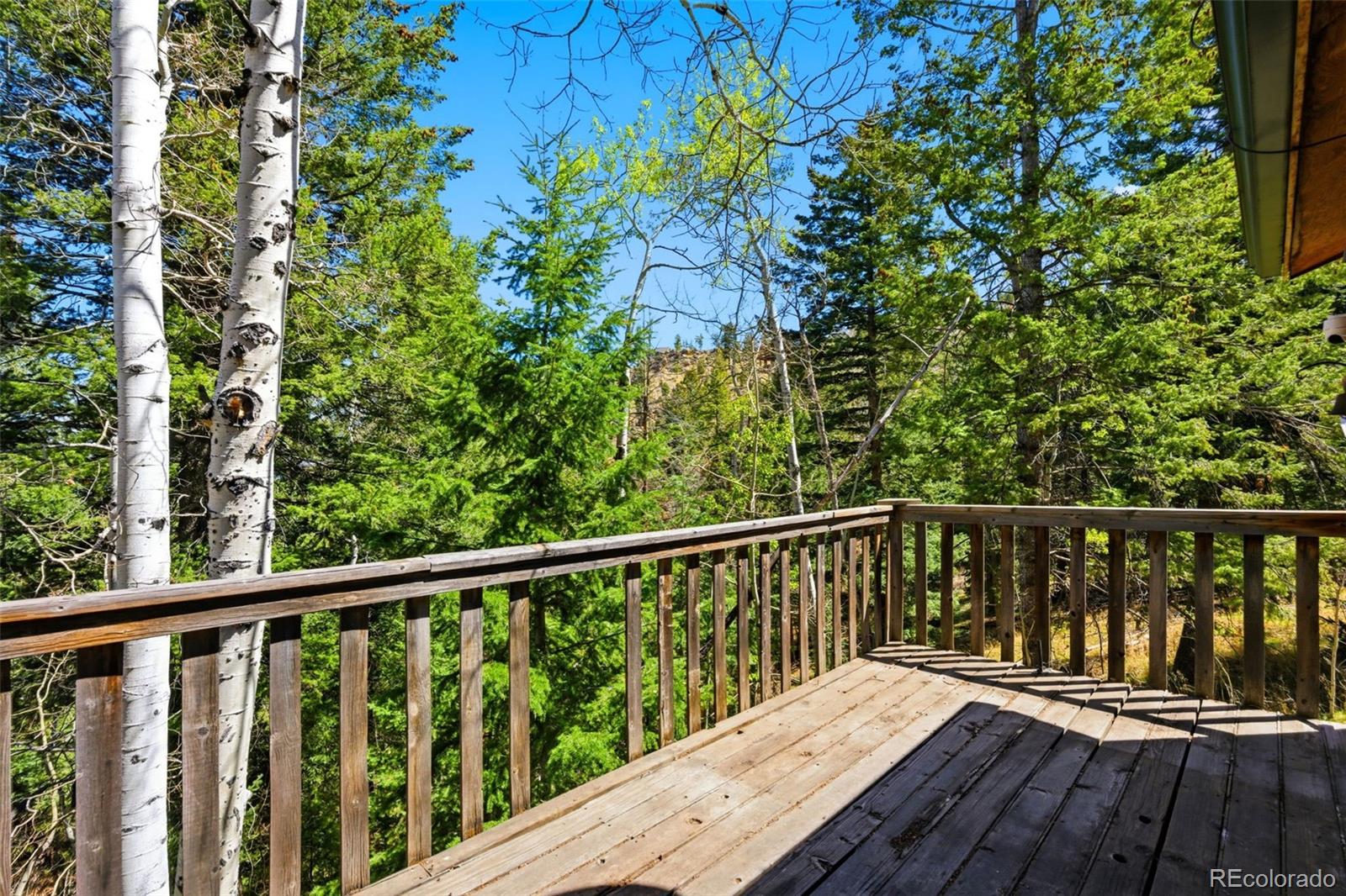 MLS Image #16 for 10215  crystal drive,morrison, Colorado