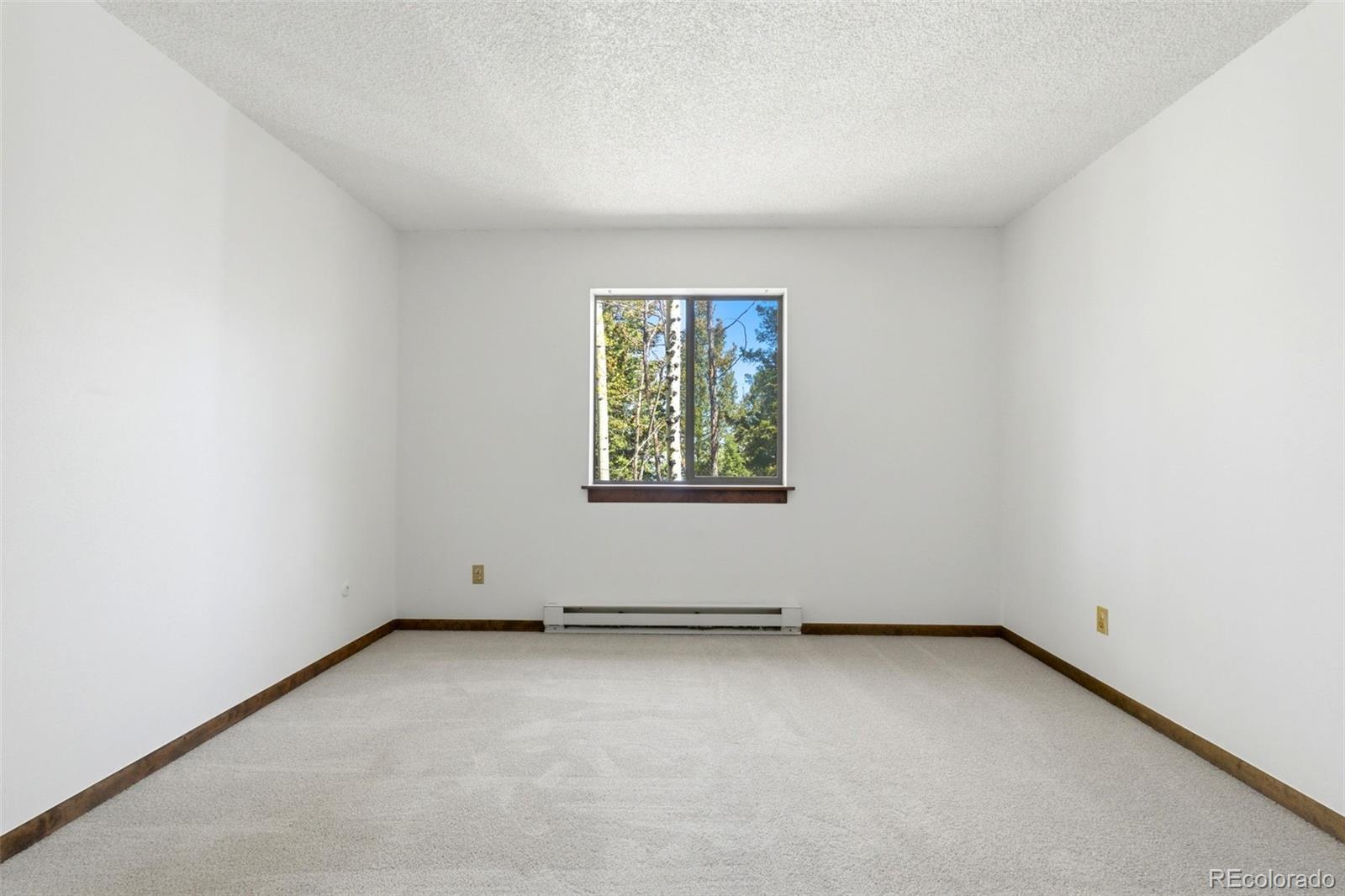 MLS Image #6 for 10215  crystal drive,morrison, Colorado