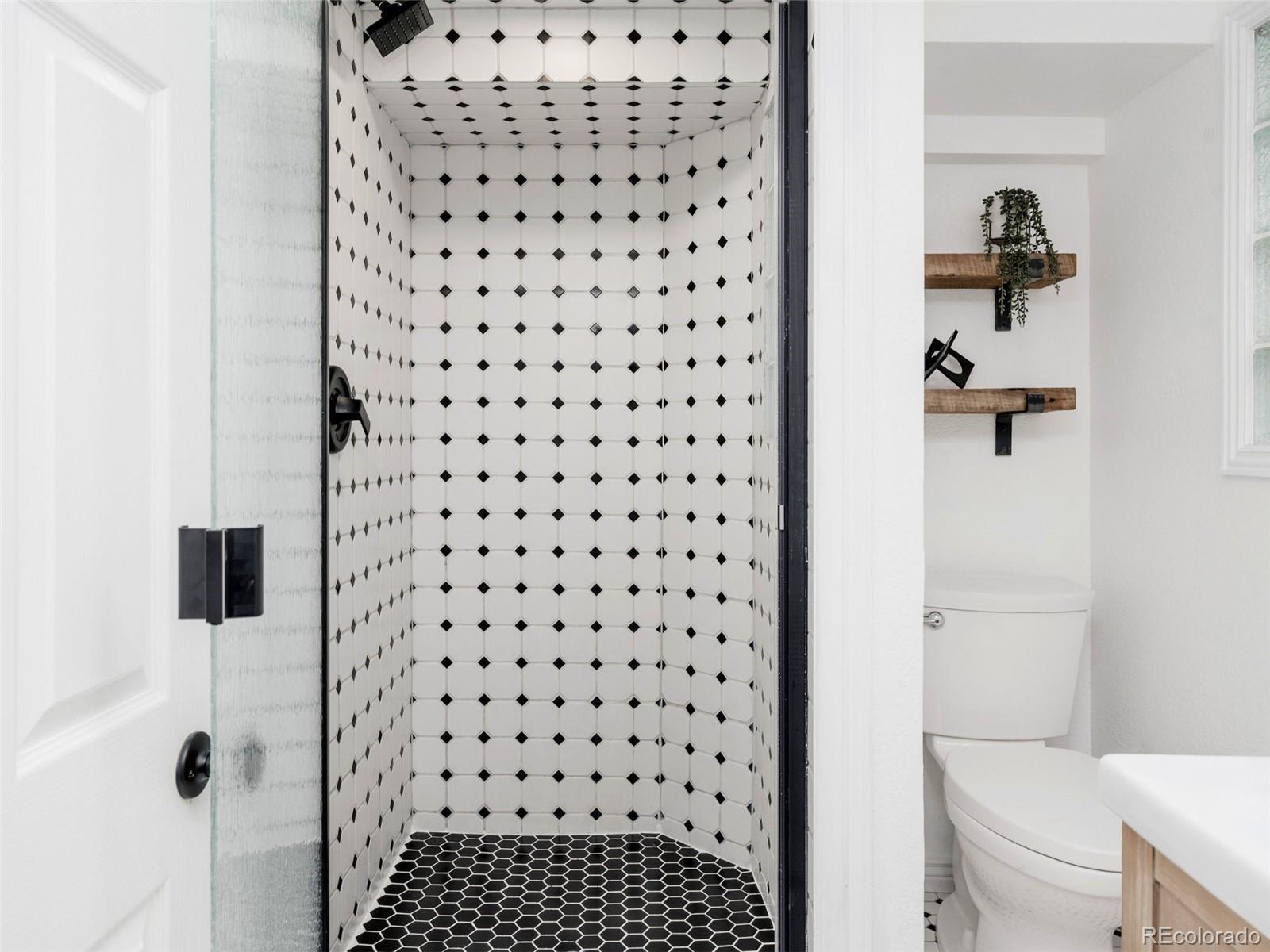 MLS Image #16 for 16  lakewood heights drive,lakewood, Colorado