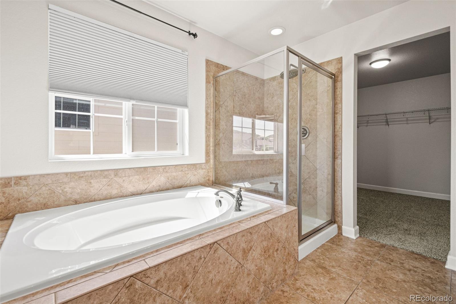 MLS Image #21 for 1375  morningview lane,castle rock, Colorado
