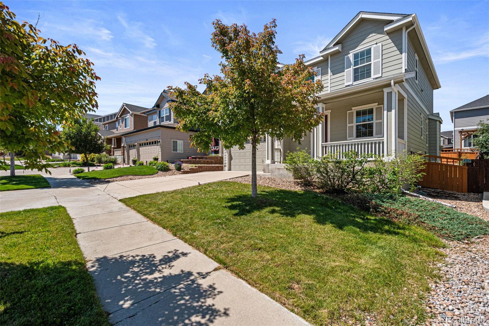 MLS Image #6 for 1375  morningview lane,castle rock, Colorado