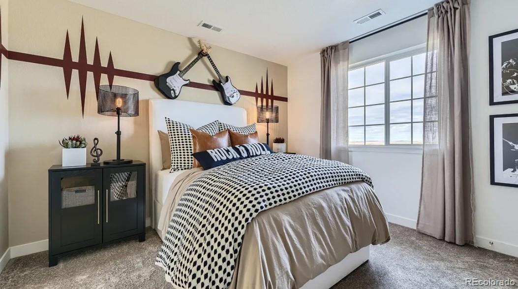 MLS Image #10 for 10931  tundra top drive,parker, Colorado